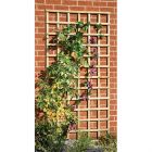 1828x915mm (3') Green Pressure Treated  Square Trellis (L)